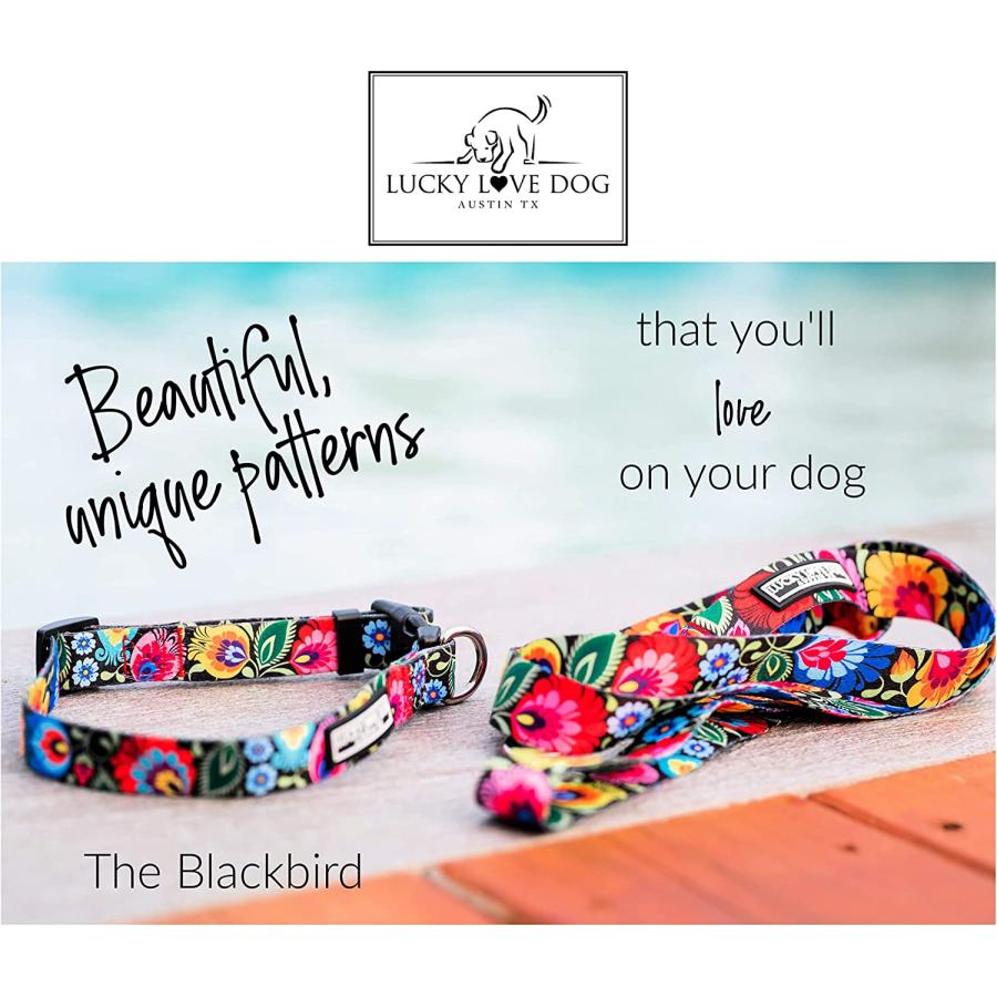 並行輸入品】 Lucky Love 犬用首輪 & リーシュセット | 花柄犬用首輪