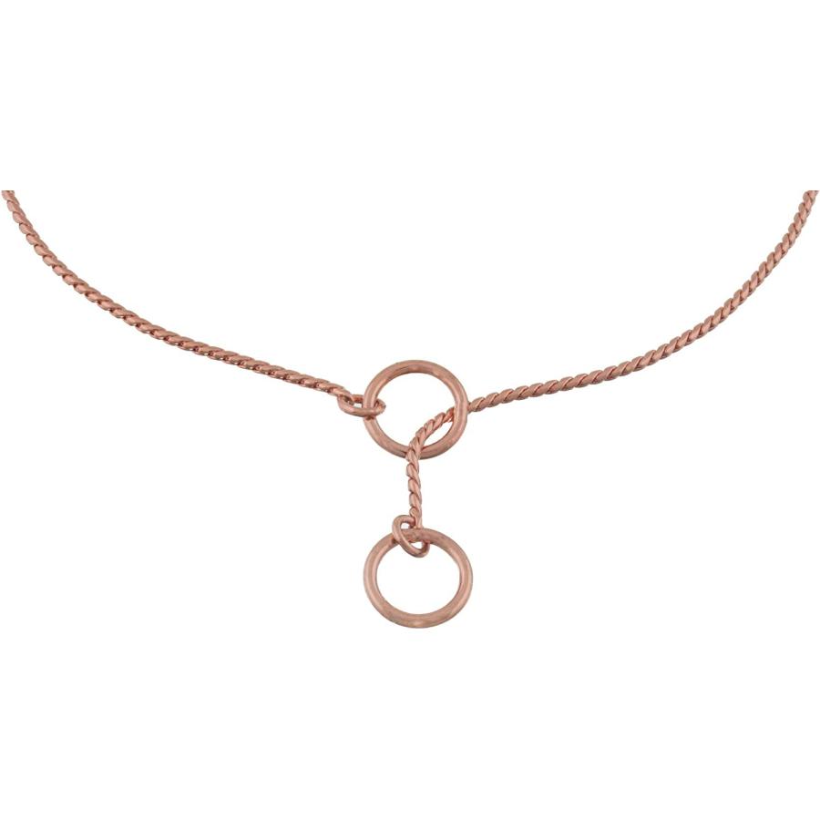 【並行輸入品】 Alvalley Metal Chain Dog Show Collar - Pet Slip Collar for Shows -_1