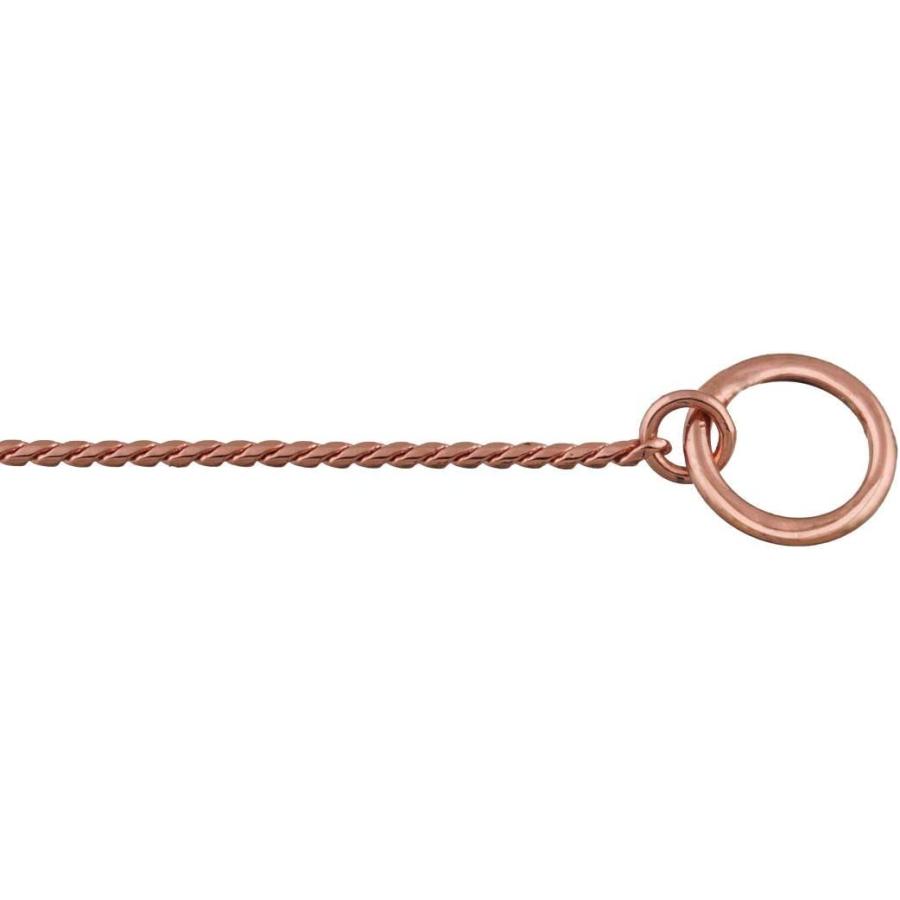 【並行輸入品】 Alvalley Metal Chain Dog Show Collar - Pet Slip Collar for Shows -_2