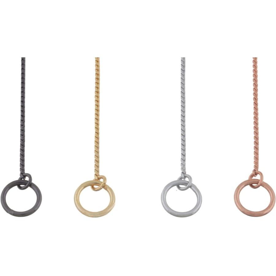 【並行輸入品】 Alvalley Metal Chain Dog Show Collar - Pet Slip Collar for Shows -_3