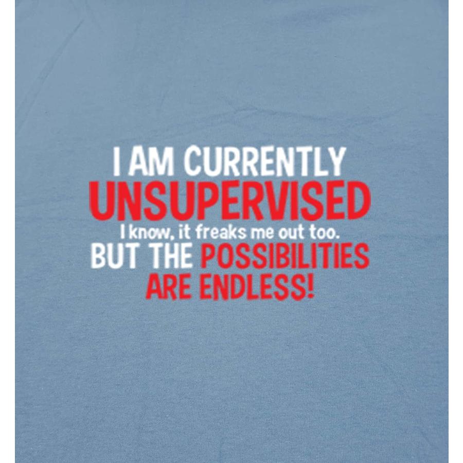 【並行輸入品】 Currently Unsupervised Novelty Graphic Sarcastic Funny T Shirt 2XL_1