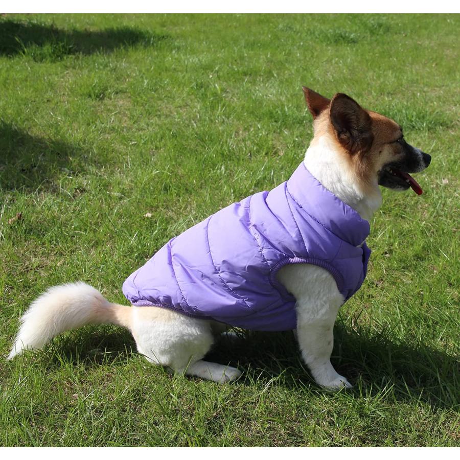 超可爱 JoyDaog 2 Layers Fleece Lined Warm Dog Jacket for Winter Cold Weather Soft Windproof Medium Dog Coat