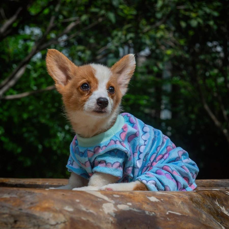 【並行輸入品】 CuteBone Cotton and Stretchy Dog Pajamas Cute for Small Dogs Boy\u0026Gi_7