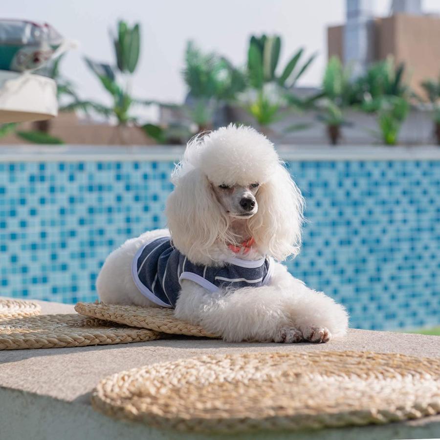 購入最安価格 CuteBone Dog Shirts Striped 2-Pack Soft Cotton Pet Clothes Breathable Summer Vest for Small Puppy an