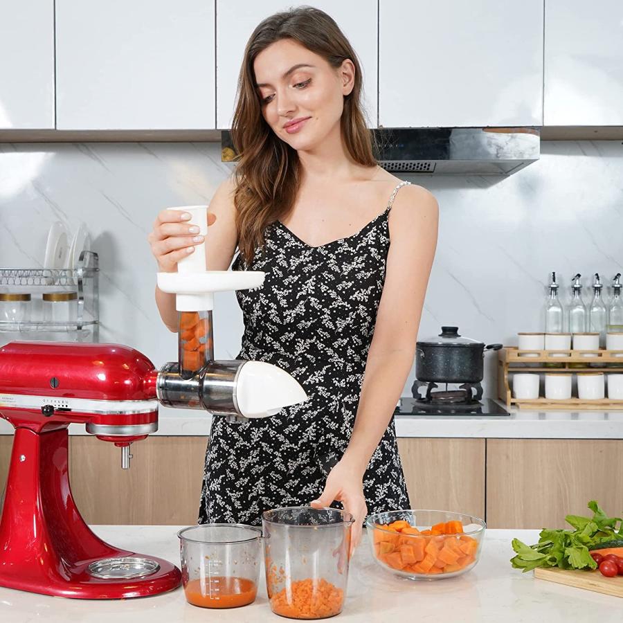 【並行輸入品】 Masticating Juicer Attachment for KitchenAid All Models Stand Mixer_1