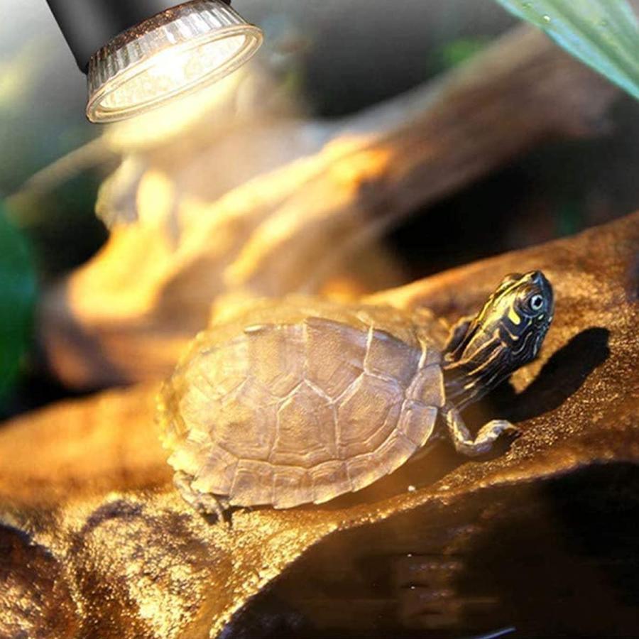 【並行輸入品】 Dallfoll 2PCS 25W / 50W Reptile Heat Lamp Turtle Heat Lamp Basking_5