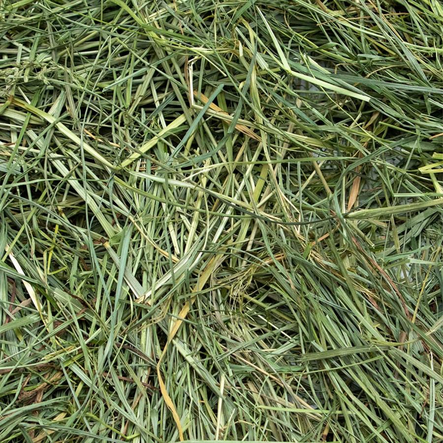 Rabbit Hole Hay Ultra Premium  Hand Packed Mountain Grass for Your Small Pet Rabbit  Chinchilla  or Guinea Pig (40lb)　並行輸入品｜dep-good-choice｜03