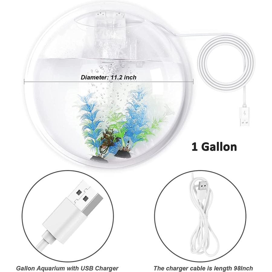 Outgeek Wall Mounted Aquarium Tank: 1-Gallon Betta Fish Bowl Hanging