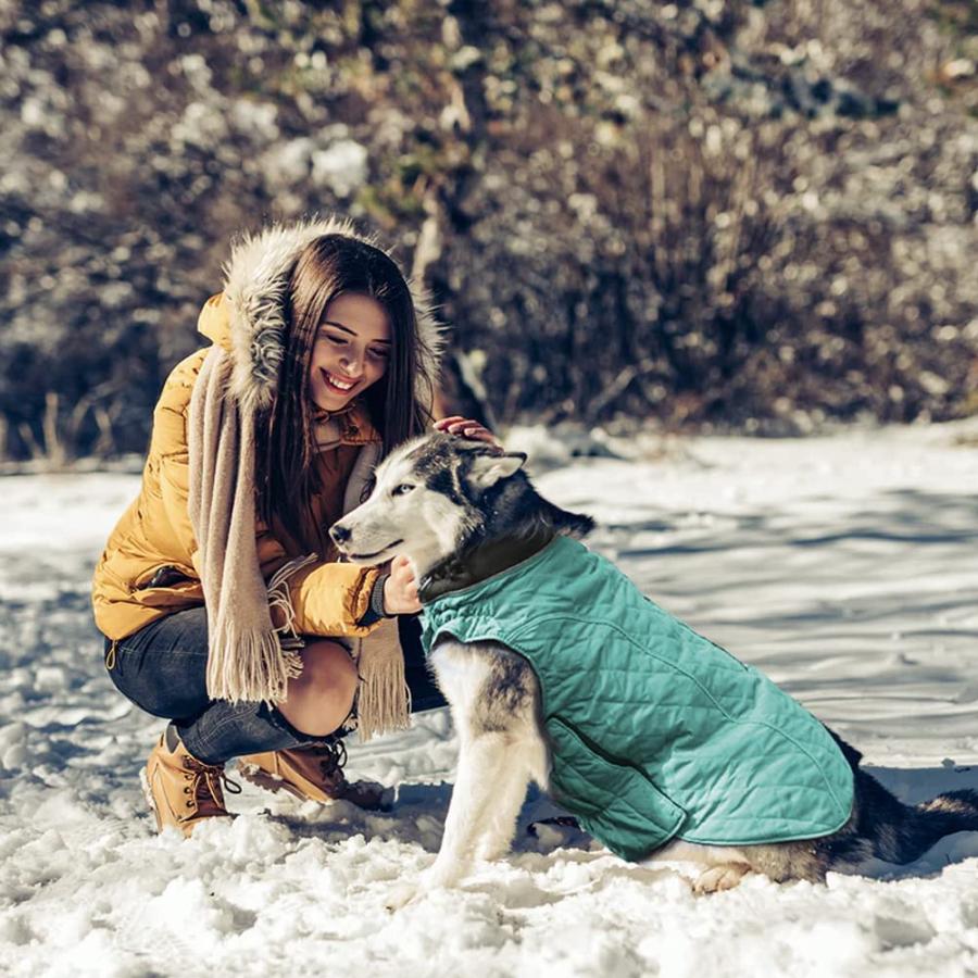人気の購入できます EMUST Dog Winter Coats Windproof Dog Jackets for Cold Weather with Lofty Collar Puppy Clothes for