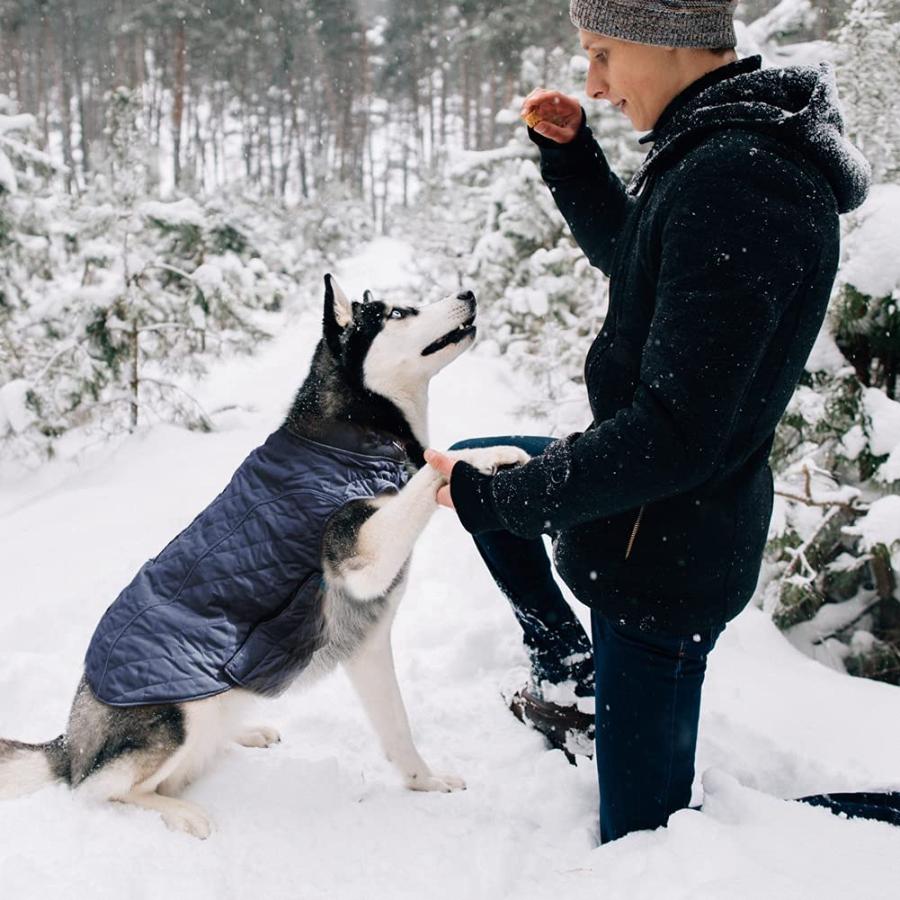 メール便なら送料無料 EMUST Dog Winter Coats Windproof Dog Jackets for Cold Weather with Lofty Collar Puppy Clothes for
