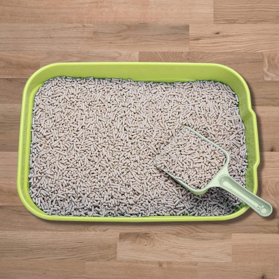 【並行輸入品】 Kitty Open Top Litter Box Without Lid  Kitten Litter Mat  Pooper Li_4