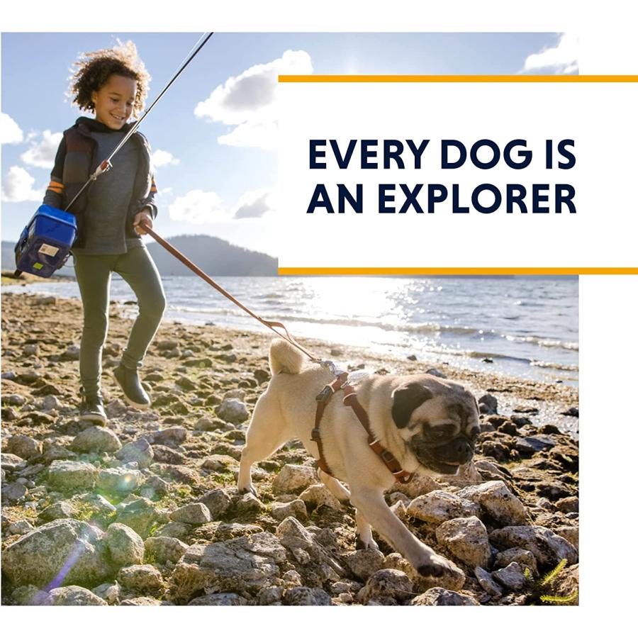 【並行輸入品】 RUFFWEAR Front Range Dog Harness Reflective and Padded Harness fo_8
