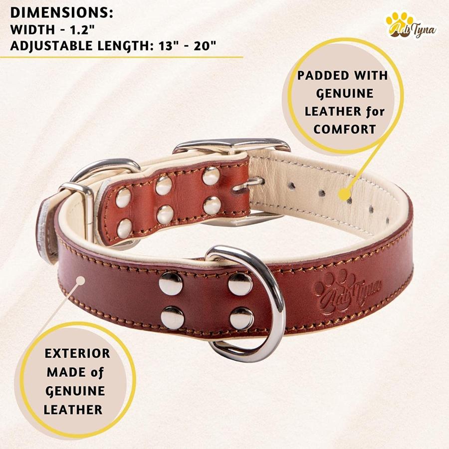 ADITYNA Premium Leather Dog Collar for Medium Dogs - Padded Dog 