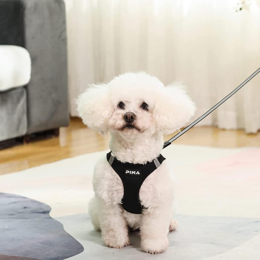 【並行輸入品】 PINA Dog Harness for Small Medium Dogs No Pull  Dog Harness and Lea_2