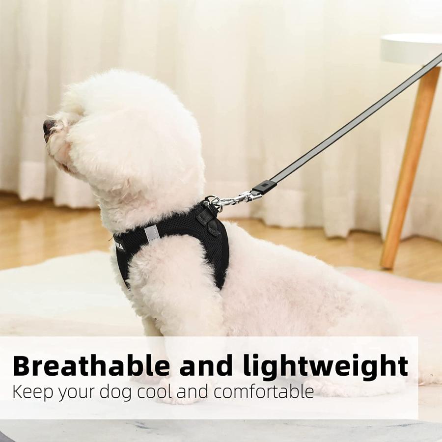 【並行輸入品】 PINA Dog Harness for Small Medium Dogs No Pull  Dog Harness and Lea_3