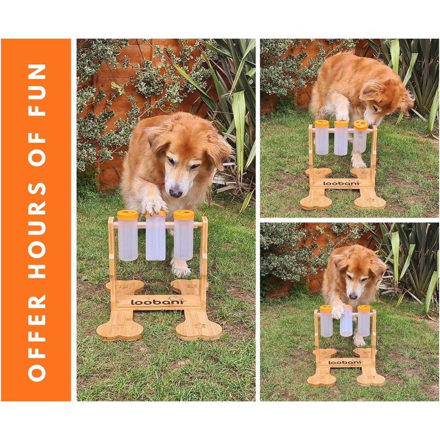 LOOBANI Dog Puzzle Toys Wooden - Interactive Dog Toys for Boredom, IQ  Training and Mental Brain Stimulation, Treat Dispensing Dog Toys/Dog