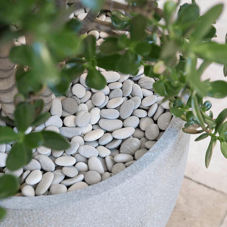 植物用の白い川の岩 5ポンド 小さな装飾的な小石 1インチ-1.5インチ 研磨された石 滑らかな水槽 水槽 花瓶 屋内 プランター 屋外 造園 庭(88オンス)｜dep-good-choice｜05