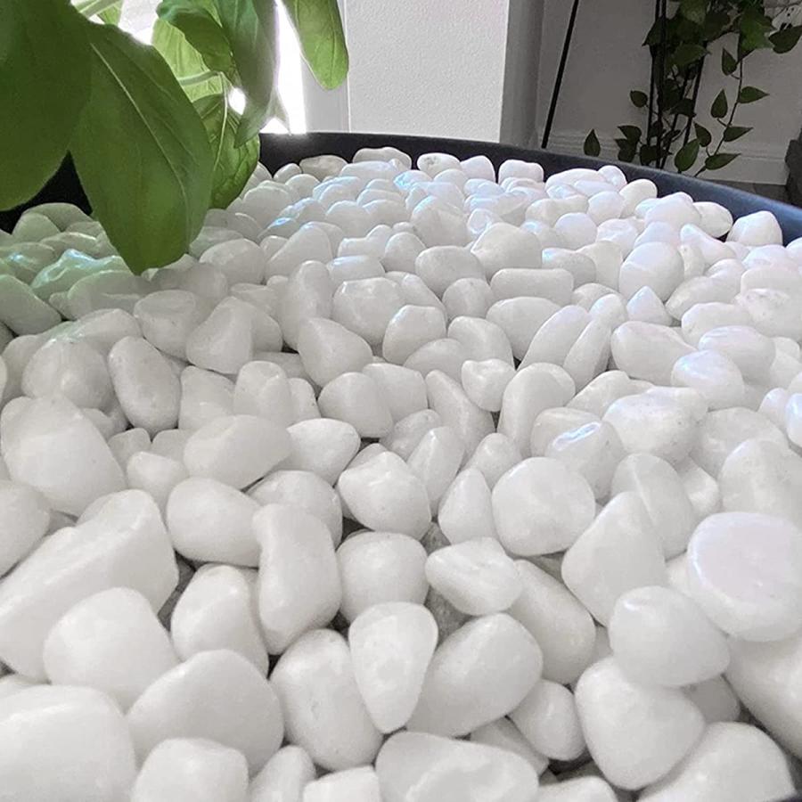 長良川 白い石 水槽用