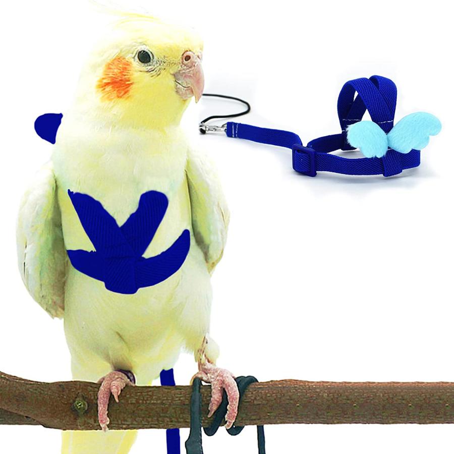 Cockatiel Harness and Leash Adjustable Parrot Bird Training Design Anti