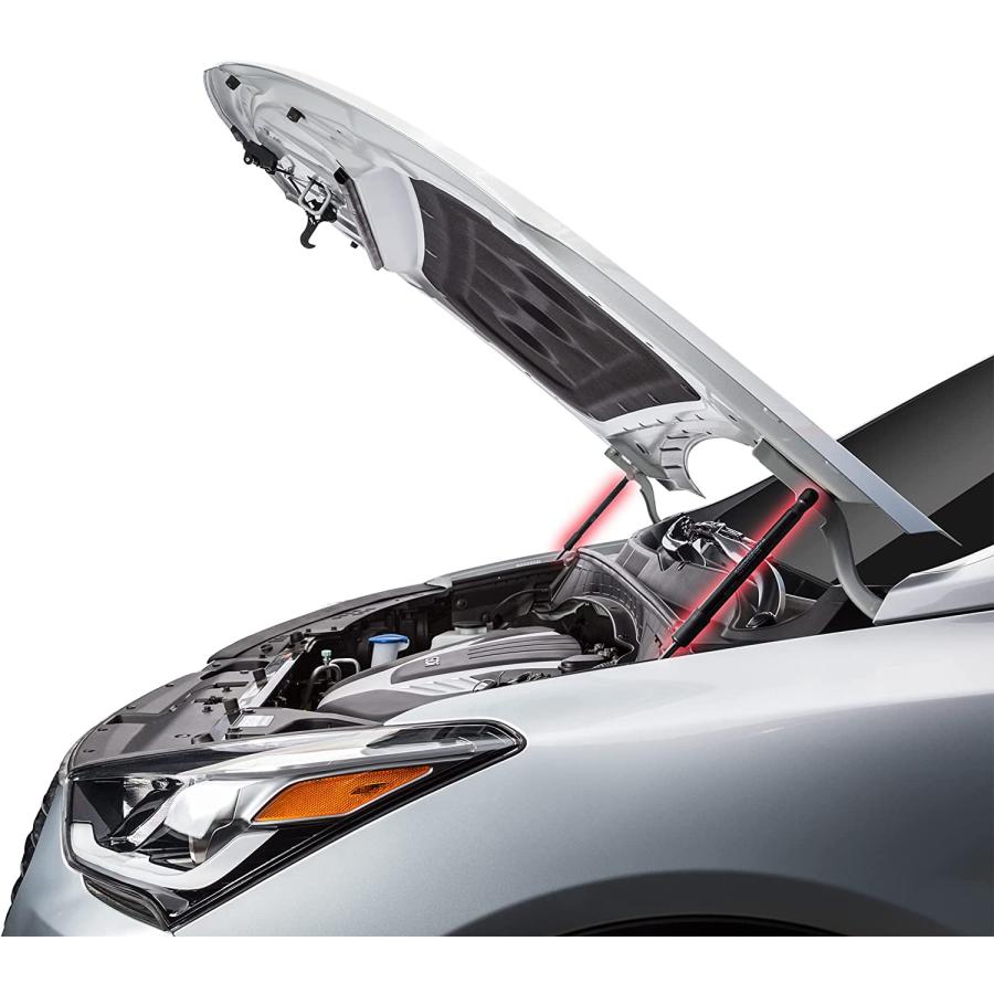 【並行輸入品】 TRW TSG304014 Hood Lift Support For Ford Taurus 1996-1999 And Otherの画像