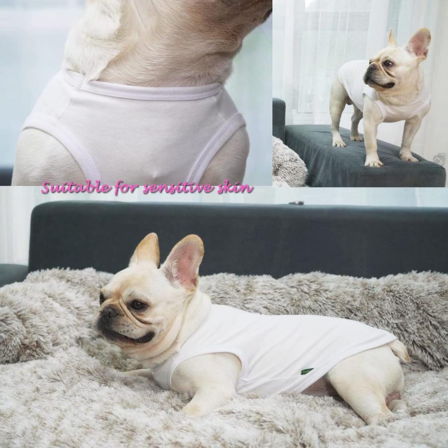 通販・価格比較 Sychien Dog Pink White Shirts Soft Blank Cotton Tee-Shirt for Boy Girl Dogs Plain Large Clothes XXXL