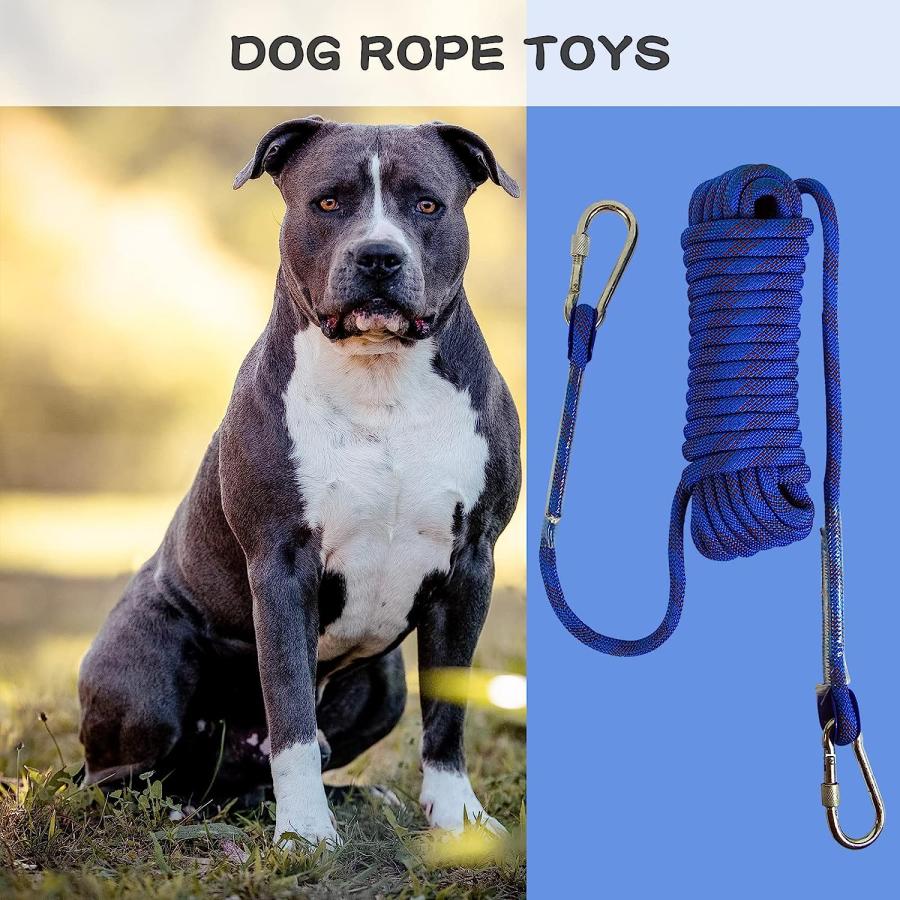 並行輸入品】 YIKEBALOG 犬用ロープ おもちゃ アウトドア バンジー