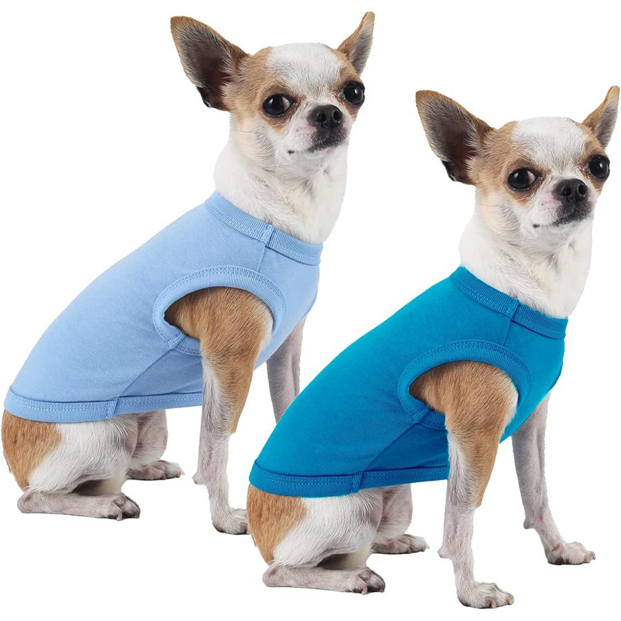 当店カスタムオーダー Sychien Dog Blank Blue Shirt Boy Girl Dogs Extra Large Tee Shirts Plain Labrador T-Shirt XXXL Blue R
