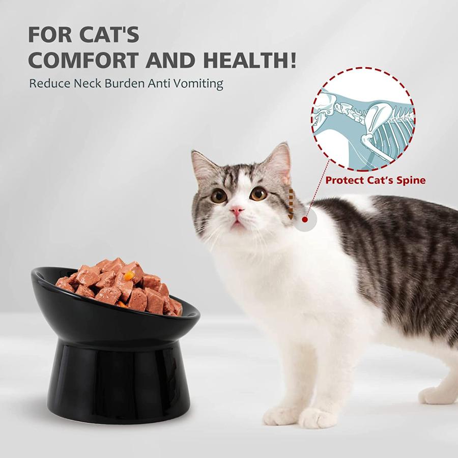 Raised Cat Food Bowls Ceramic - Tilted Elevated Cat Bowl Anti Vomit - Whisker Friendly Shallow Cat Bowl - Stress Free Wide Cat Feeding Bowls for Dr - 2
