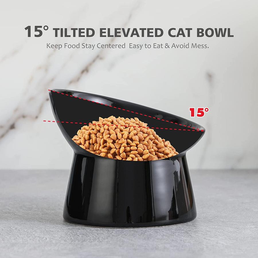 Raised Cat Food Bowls Ceramic - Tilted Elevated Cat Bowl Anti Vomit - Whisker Friendly Shallow Cat Bowl - Stress Free Wide Cat Feeding Bowls for Dr - 3