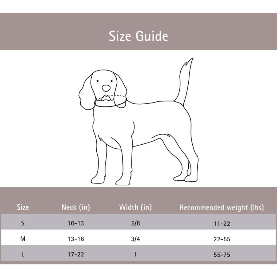 DOGリード　ADERERROR アーダーエラーDog collar DOGリード ADERERROR アーダーエラーDog collar