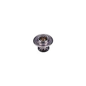 【並行輸入品】 Yeasliy Thermostat 04112041 4127330 Compatible For Deutz Engine ...