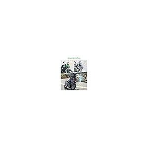 並行輸入品】 VEISUTOR フロントガラス Z500 ABS 2024 2025用 ダーク