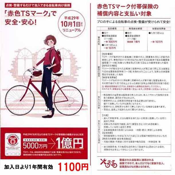 BRIDGESTONE（ブリヂストン） 通勤・通学 アルベルトL型27インチ5段