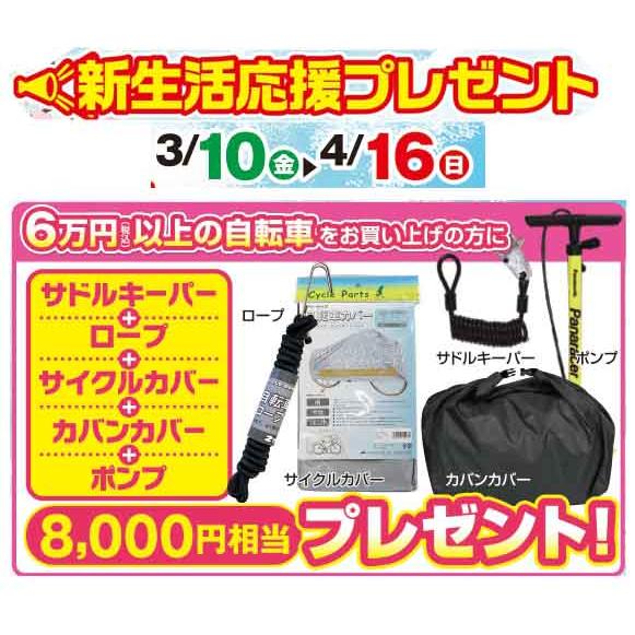 BRIDGESTONE ブリヂストン CAJUNA カジュナベーシック ベルト 27 BRIDGESTONE ブリヂストン CAJUNA カジュナベーシック ベルト 27