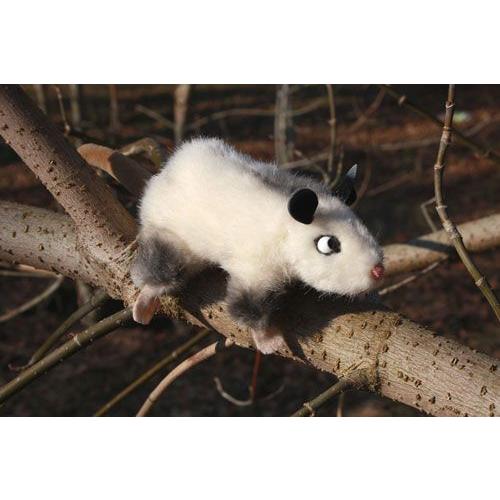 ケーセン Kosen オポッサムの子 木のおもちゃデポー 通販 Yahoo ショッピング