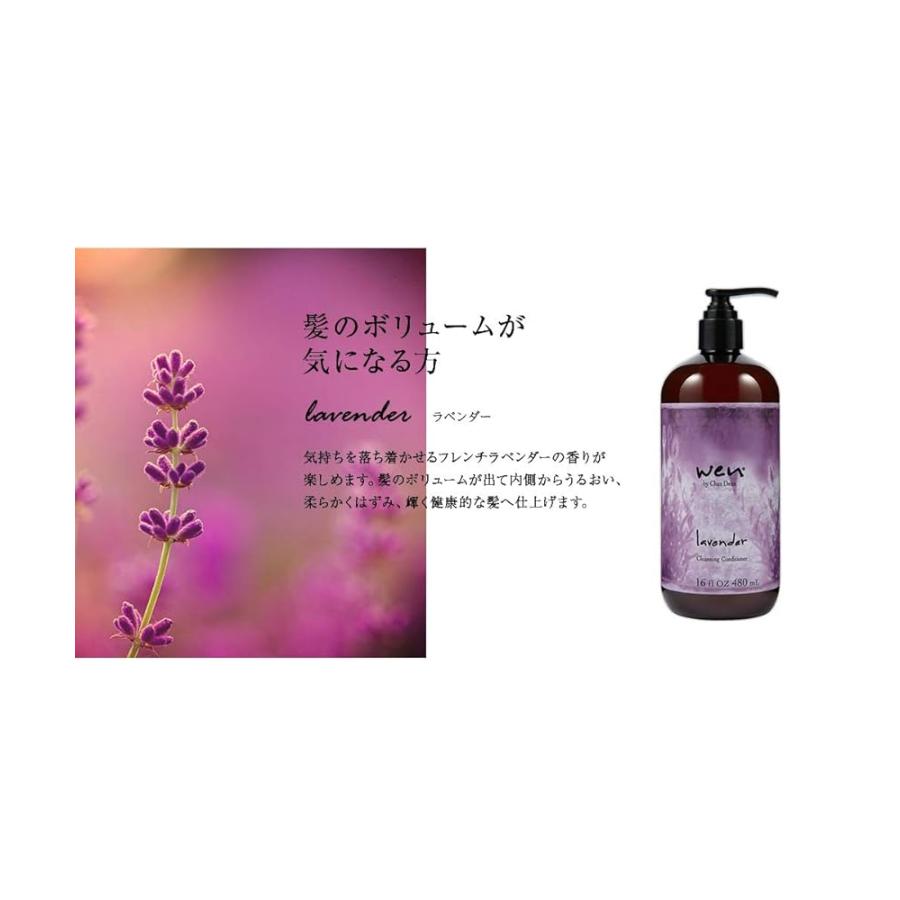 WEN ウェン クレンジングコンディショナー ガーデニア 480mL (シャンプー リンス コンディショナー トリートメント スカルプ 5 in 1 lim23の画像