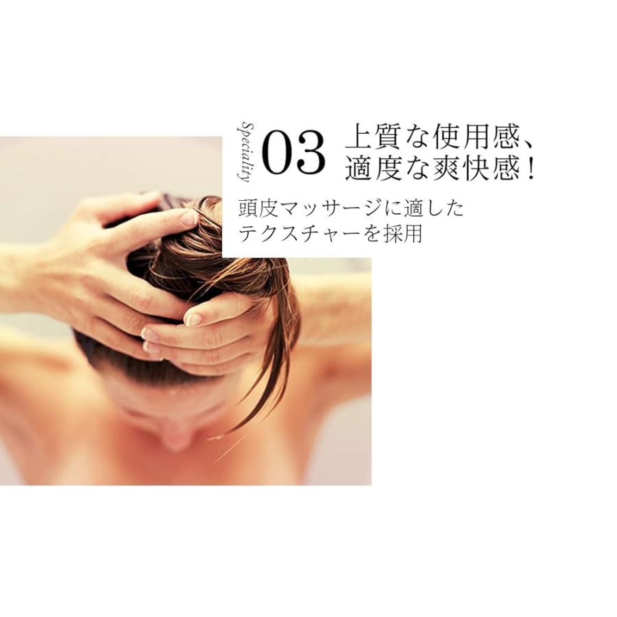 WEN ウェン クレンジングコンディショナー ガーデニア 480mL (シャンプー リンス コンディショナー トリートメント スカルプ 5 in 1 lim23の画像