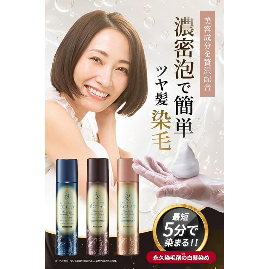 ÉCLAT ヘアボーテ　エクラ 泡タイプ白髪染め ダークブラウン 3箱セット 3本セット ヘアボーテエクラ ボタニカルエアカラーフォームEX ダーク