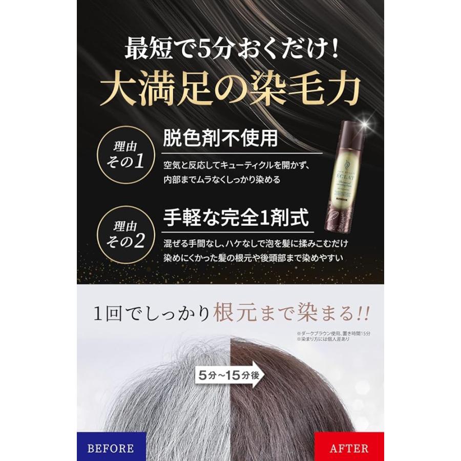 3本セット ヘアボーテエクラ ボタニカルエアカラーフォームEX ダーク