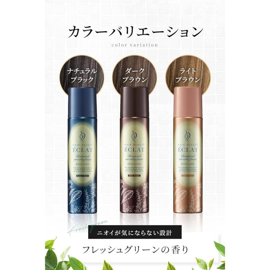 ヘアボーテエクラボタニカルエアカラーフォームEX3本セット【ダークブラウン】 3本セット ヘアボーテエクラ ボタニカルエアカラーフォームEX ダーク