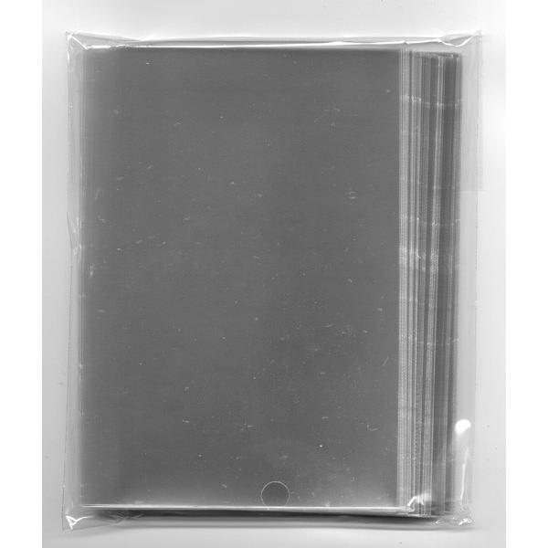 生写真用スリーブ 91X130mm 100枚 : でらなんなん - 通販