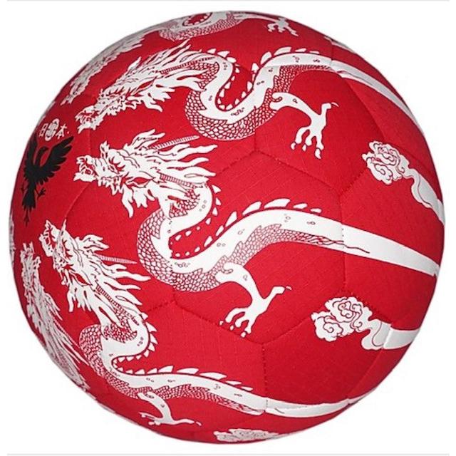 お得な情報満載 フリースタイルサッカー専用ボール Tatsuquot Wantannas Go Id