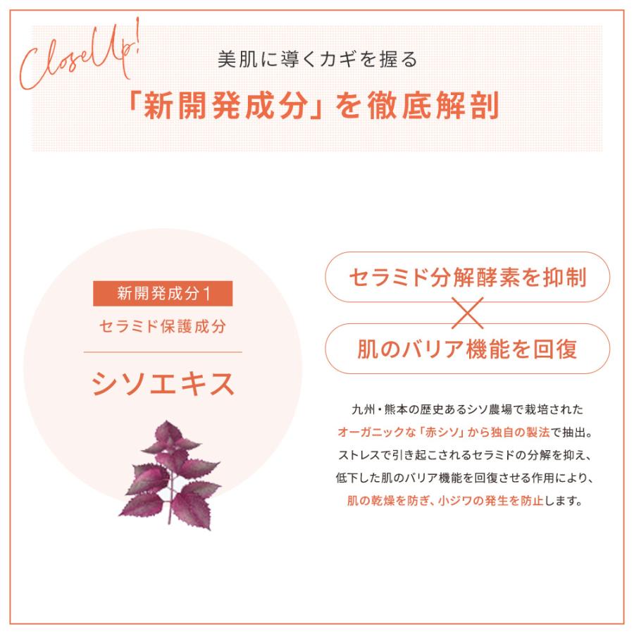 DERMED（デルメッド） 【デルメッド公式】リンクルクリーム 30g 医薬部