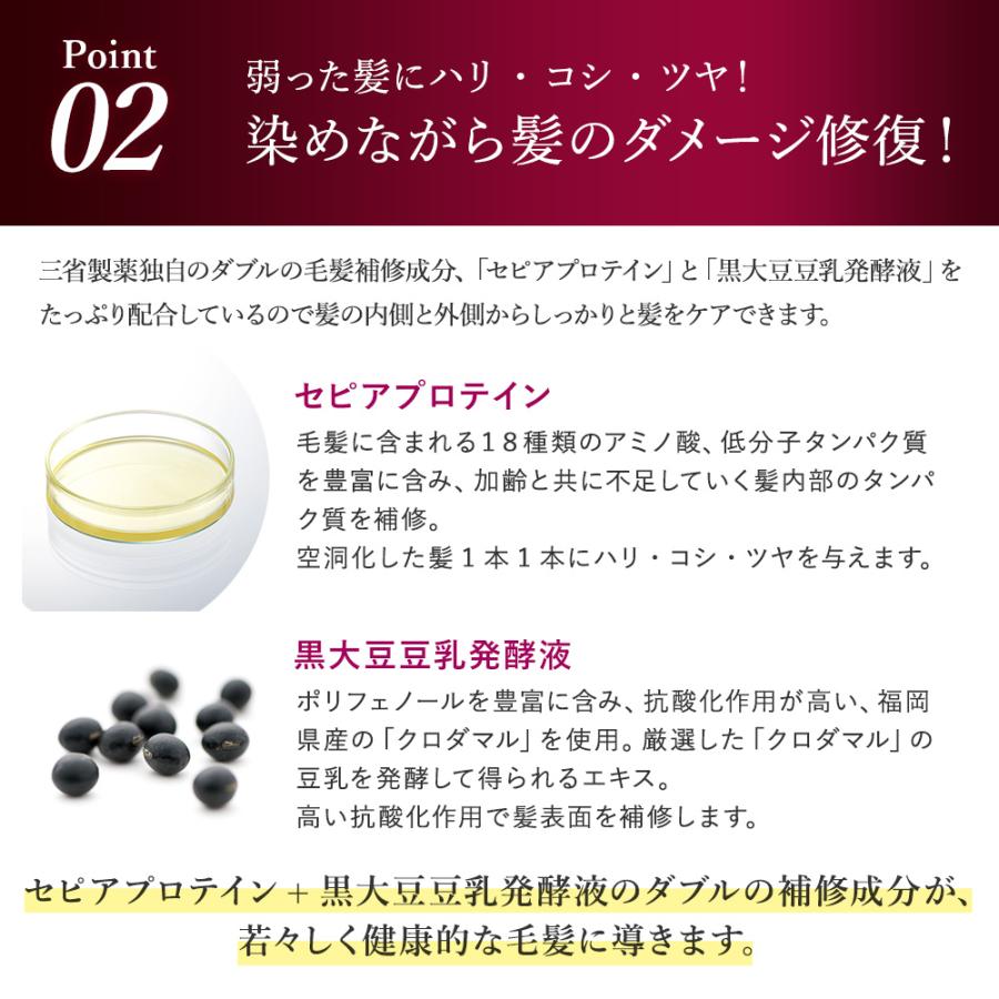 DERMED（デルメッド） 【デルメッド公式】カラートリートメント 200g