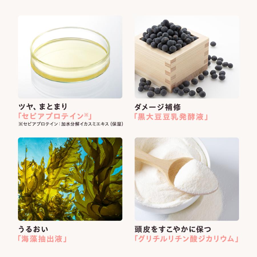 【デルメッド公式】ヘアトリートメント（つめかえ）240mL 医薬部外品 薬用 三省製薬 ヘアケア ダメージ 保湿 ボリューム ツヤ コンディショナー 三省製薬 DERMED | DERMED | 06