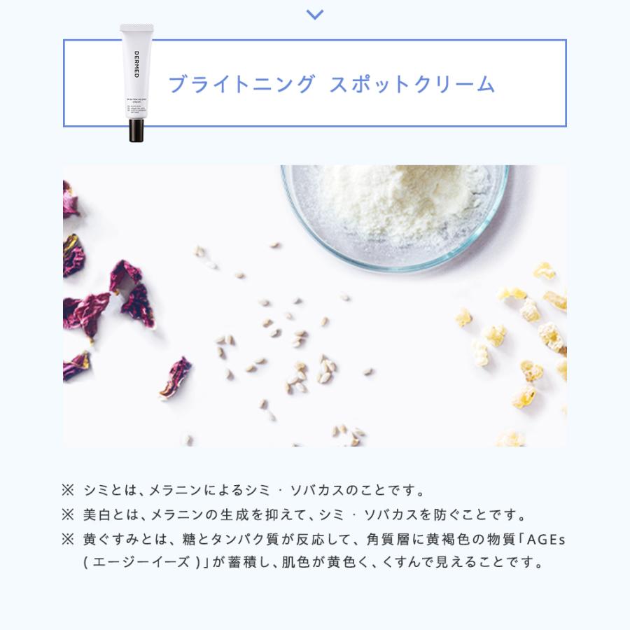 DERMED 【レフィル(つけかえ用)】デルメッド ブライトニング