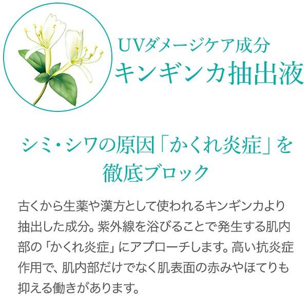【デルメッド公式】インナープロテクトジェル 150mL 化粧水 医薬部外品 薬用 全身用 日焼け 紫外線対策 UV 保湿 赤み 炎症 ヒリヒリ 冷感 三省製薬 DERMED | DERMED | 06