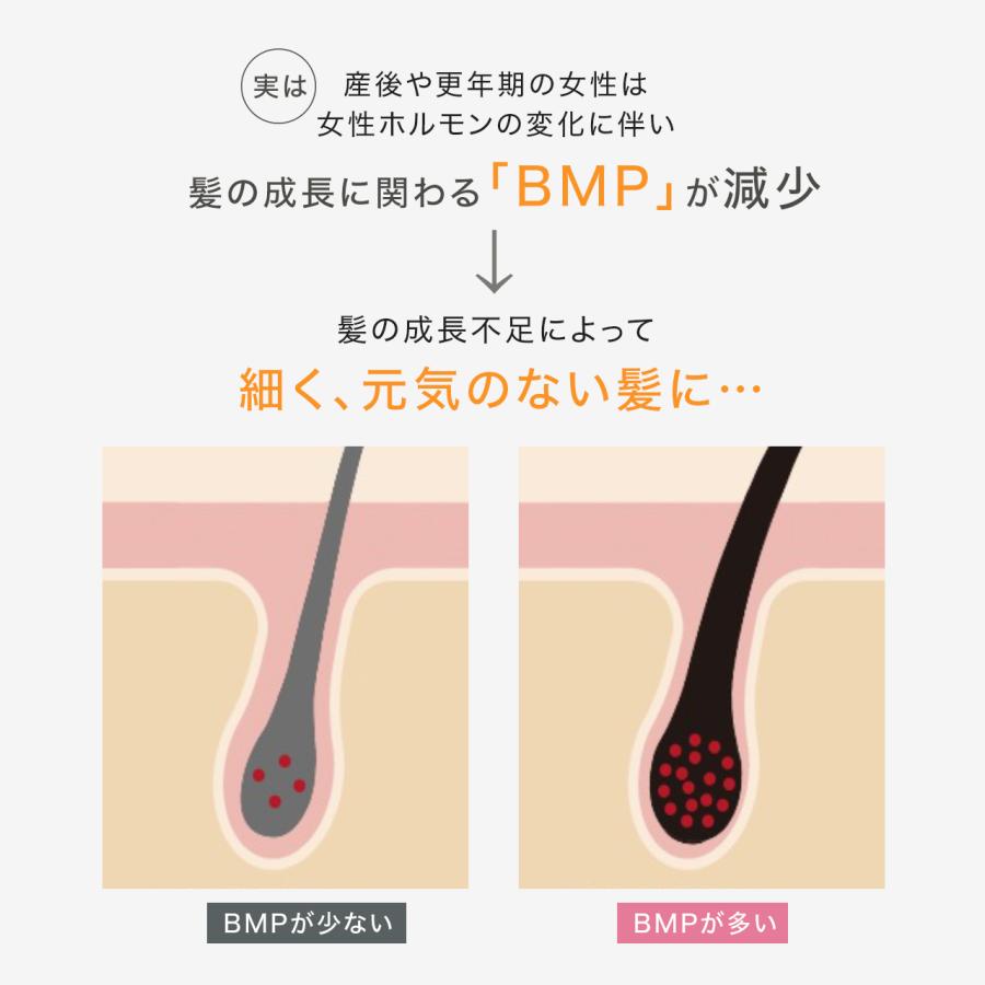 DERMED（デルメッド） 【デルメッド公式】【セット特価】ヘア