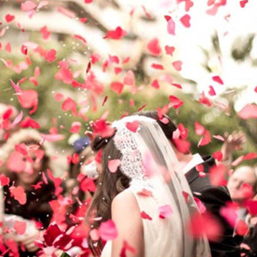 フラワーシャワー 結婚式 造花 無料サンプルok バラ サプライズ 誕生日 花びら パーティー