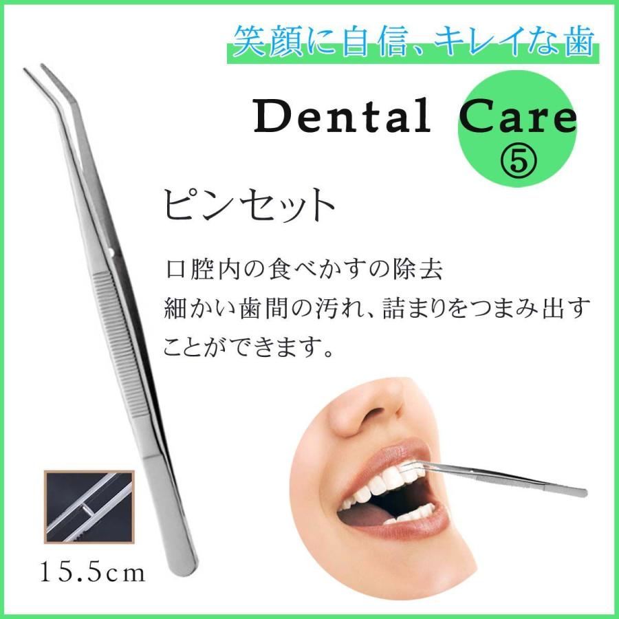 オーラルケア 歯石取り 器具 セット スケーラー 自分で デンタルケア 犬 口臭予防 歯垢 ヤニ ペット 同梱不可